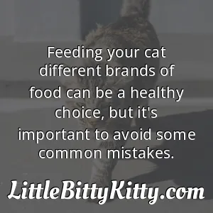 Feeding your cat different brands of food can be a healthy choice, but it's important to avoid some common mistakes.