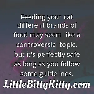 Feeding your cat different brands of food may seem like a controversial topic, but it's perfectly safe as long as you follow some guidelines.
