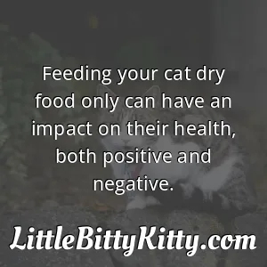 Feeding your cat dry food only can have an impact on their health, both positive and negative.