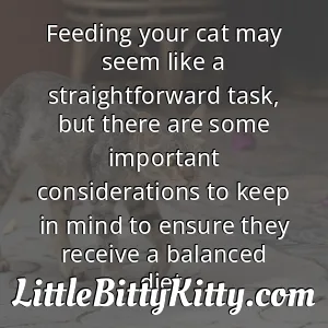 Feeding your cat may seem like a straightforward task, but there are some important considerations to keep in mind to ensure they receive a balanced diet.
