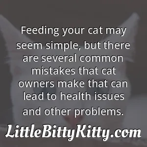 Feeding your cat may seem simple, but there are several common mistakes that cat owners make that can lead to health issues and other problems.