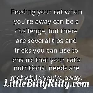 Feeding your cat when you're away can be a challenge, but there are several tips and tricks you can use to ensure that your cat's nutritional needs are met while you're away.