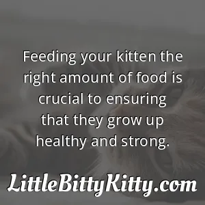 Feeding your kitten the right amount of food is crucial to ensuring that they grow up healthy and strong.
