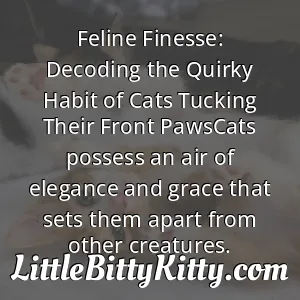 Feline Finesse: Decoding the Quirky Habit of Cats Tucking Their Front PawsCats possess an air of elegance and grace that sets them apart from other creatures.