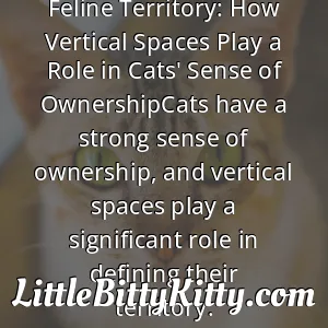 Feline Territory: How Vertical Spaces Play a Role in Cats' Sense of OwnershipCats have a strong sense of ownership, and vertical spaces play a significant role in defining their territory.