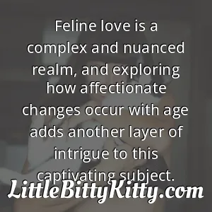 Feline love is a complex and nuanced realm, and exploring how affectionate changes occur with age adds another layer of intrigue to this captivating subject.