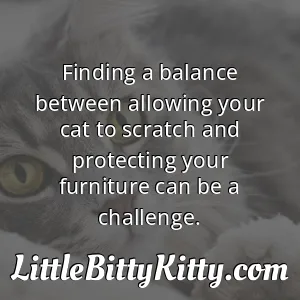 Finding a balance between allowing your cat to scratch and protecting your furniture can be a challenge.