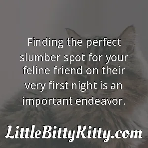 Finding the perfect slumber spot for your feline friend on their very first night is an important endeavor.