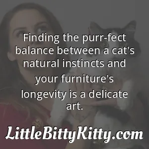 Finding the purr-fect balance between a cat's natural instincts and your furniture's longevity is a delicate art.