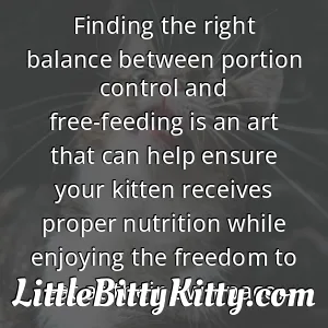 Finding the right balance between portion control and free-feeding is an art that can help ensure your kitten receives proper nutrition while enjoying the freedom to eat at their own pace.