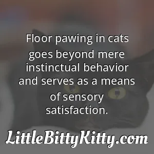 Floor pawing in cats goes beyond mere instinctual behavior and serves as a means of sensory satisfaction.