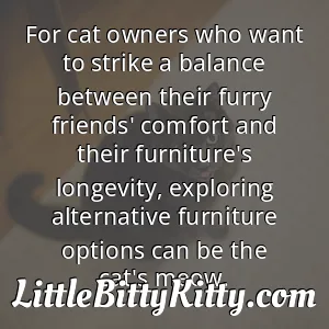 For cat owners who want to strike a balance between their furry friends' comfort and their furniture's longevity, exploring alternative furniture options can be the cat's meow.