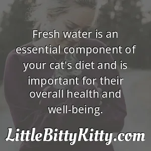 Fresh water is an essential component of your cat's diet and is important for their overall health and well-being.