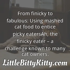 From finicky to fabulous: Using mashed cat food to entice picky eatersAh, the finicky eater – a challenge known to many cat owners.