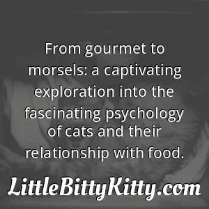 From gourmet to morsels: a captivating exploration into the fascinating psychology of cats and their relationship with food.