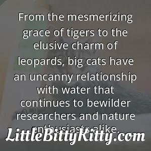 From the mesmerizing grace of tigers to the elusive charm of leopards, big cats have an uncanny relationship with water that continues to bewilder researchers and nature enthusiasts alike.