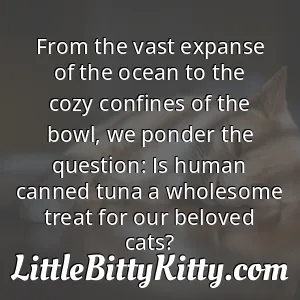 From the vast expanse of the ocean to the cozy confines of the bowl, we ponder the question: Is human canned tuna a wholesome treat for our beloved cats?