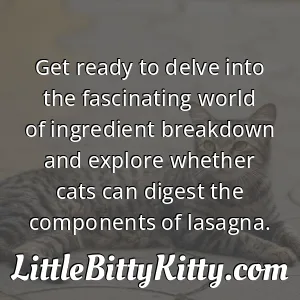 Get ready to delve into the fascinating world of ingredient breakdown and explore whether cats can digest the components of lasagna.