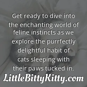 Get ready to dive into the enchanting world of feline instincts as we explore the purrfectly delightful habit of cats sleeping with their paws tucked in.