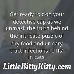 Get ready to don your detective cap as we unmask the truth behind the intricate puzzle of dry food and urinary tract infections (UTIs) in cats.