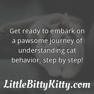 Get ready to embark on a pawsome journey of understanding cat behavior, step by step!
