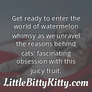 Get ready to enter the world of watermelon whimsy as we unravel the reasons behind cats' fascinating obsession with this juicy fruit.