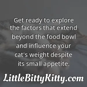 Get ready to explore the factors that extend beyond the food bowl and influence your cat's weight despite its small appetite.