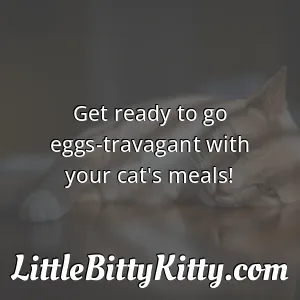 Get ready to go eggs-travagant with your cat's meals!