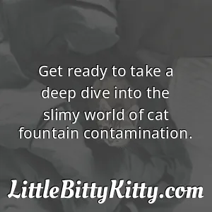 Get ready to take a deep dive into the slimy world of cat fountain contamination.