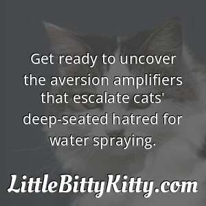 Get ready to uncover the aversion amplifiers that escalate cats' deep-seated hatred for water spraying.