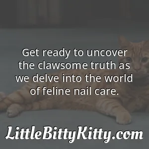 Get ready to uncover the clawsome truth as we delve into the world of feline nail care.