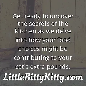 Get ready to uncover the secrets of the kitchen as we delve into how your food choices might be contributing to your cat's extra pounds.