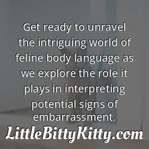 Get ready to unravel the intriguing world of feline body language as we explore the role it plays in interpreting potential signs of embarrassment.