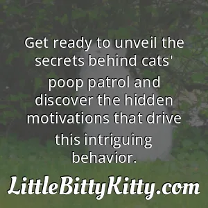 Get ready to unveil the secrets behind cats' poop patrol and discover the hidden motivations that drive this intriguing behavior.