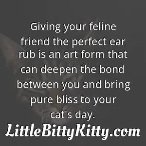 Giving your feline friend the perfect ear rub is an art form that can deepen the bond between you and bring pure bliss to your cat's day.