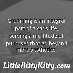 Grooming is an integral part of a cat's life, serving a multitude of purposes that go beyond mere aesthetics.