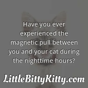 Have you ever experienced the magnetic pull between you and your cat during the nighttime hours?