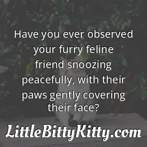 Have you ever observed your furry feline friend snoozing peacefully, with their paws gently covering their face?
