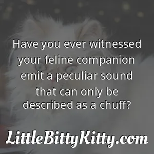 Have you ever witnessed your feline companion emit a peculiar sound that can only be described as a chuff?