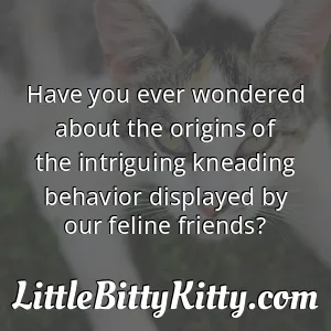Have you ever wondered about the origins of the intriguing kneading behavior displayed by our feline friends?