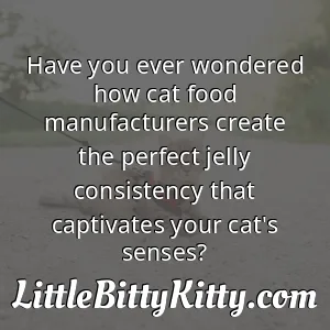 Have you ever wondered how cat food manufacturers create the perfect jelly consistency that captivates your cat's senses?