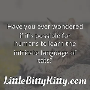 Have you ever wondered if it's possible for humans to learn the intricate language of cats?