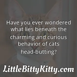 Have you ever wondered what lies beneath the charming and curious behavior of cats head-butting?