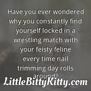 Have you ever wondered why you constantly find yourself locked in a wrestling match with your feisty feline every time nail trimming day rolls around?