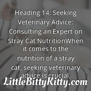 Heading 14: Seeking Veterinary Advice: Consulting an Expert on Stray Cat NutritionWhen it comes to the nutrition of a stray cat, seeking veterinary advice is crucial.