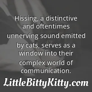 Hissing, a distinctive and oftentimes unnerving sound emitted by cats, serves as a window into their complex world of communication.
