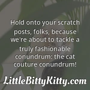 Hold onto your scratch posts, folks, because we're about to tackle a truly fashionable conundrum: the cat couture conundrum!