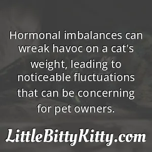 Hormonal imbalances can wreak havoc on a cat's weight, leading to noticeable fluctuations that can be concerning for pet owners.