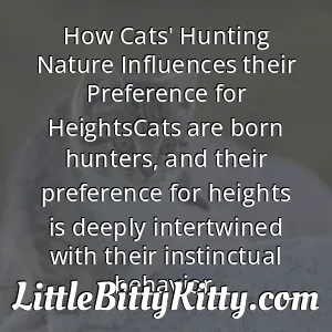 How Cats' Hunting Nature Influences their Preference for HeightsCats are born hunters, and their preference for heights is deeply intertwined with their instinctual behavior.
