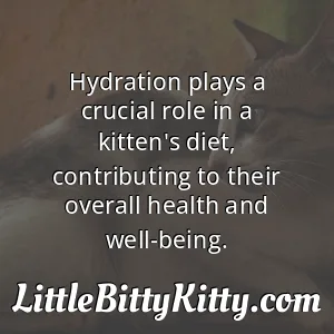 Hydration plays a crucial role in a kitten's diet, contributing to their overall health and well-being.